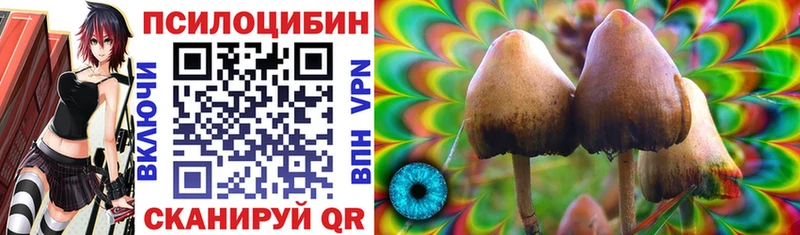 Купить закладки  Череповец  Галлюциногенные грибы ЛСД 